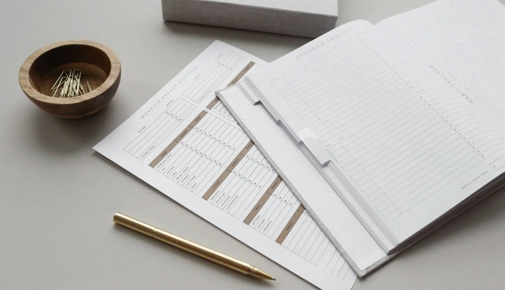 Performance and Workforce Audits